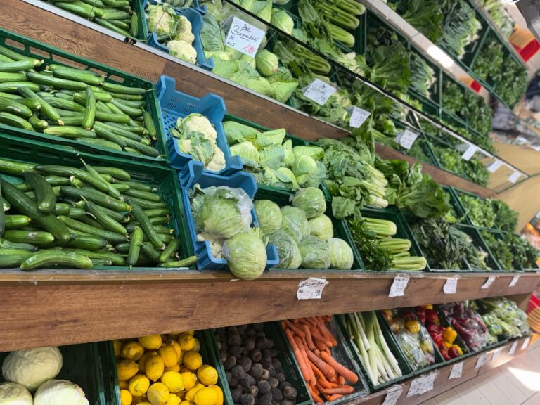 WhatsApp Image 2025-09-22 at 12.39.26