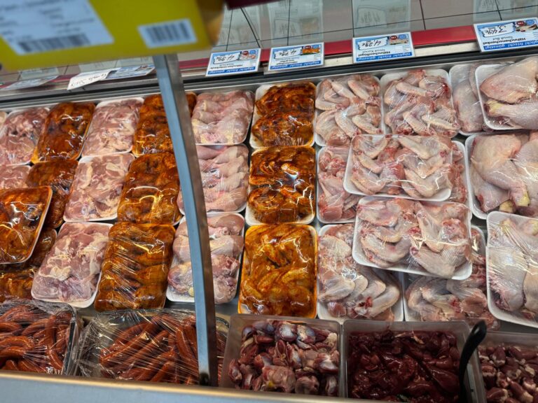 WhatsApp Image 2025-09-22 at 12.39.28 (1)