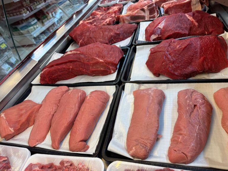 WhatsApp Image 2025-09-22 at 12.39.28 (2)