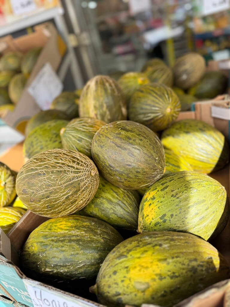 WhatsApp Image 2025-09-22 at 13.38.39 (1)